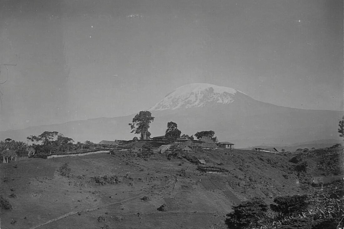 Kidia Mission station: On a bare hill, the European houses are visible from afar; in the background on the right is the small first church. The mission station is a landmark. The tall tree is what remains of the sacred grove ‘muungu’ that covered the hill in former times.